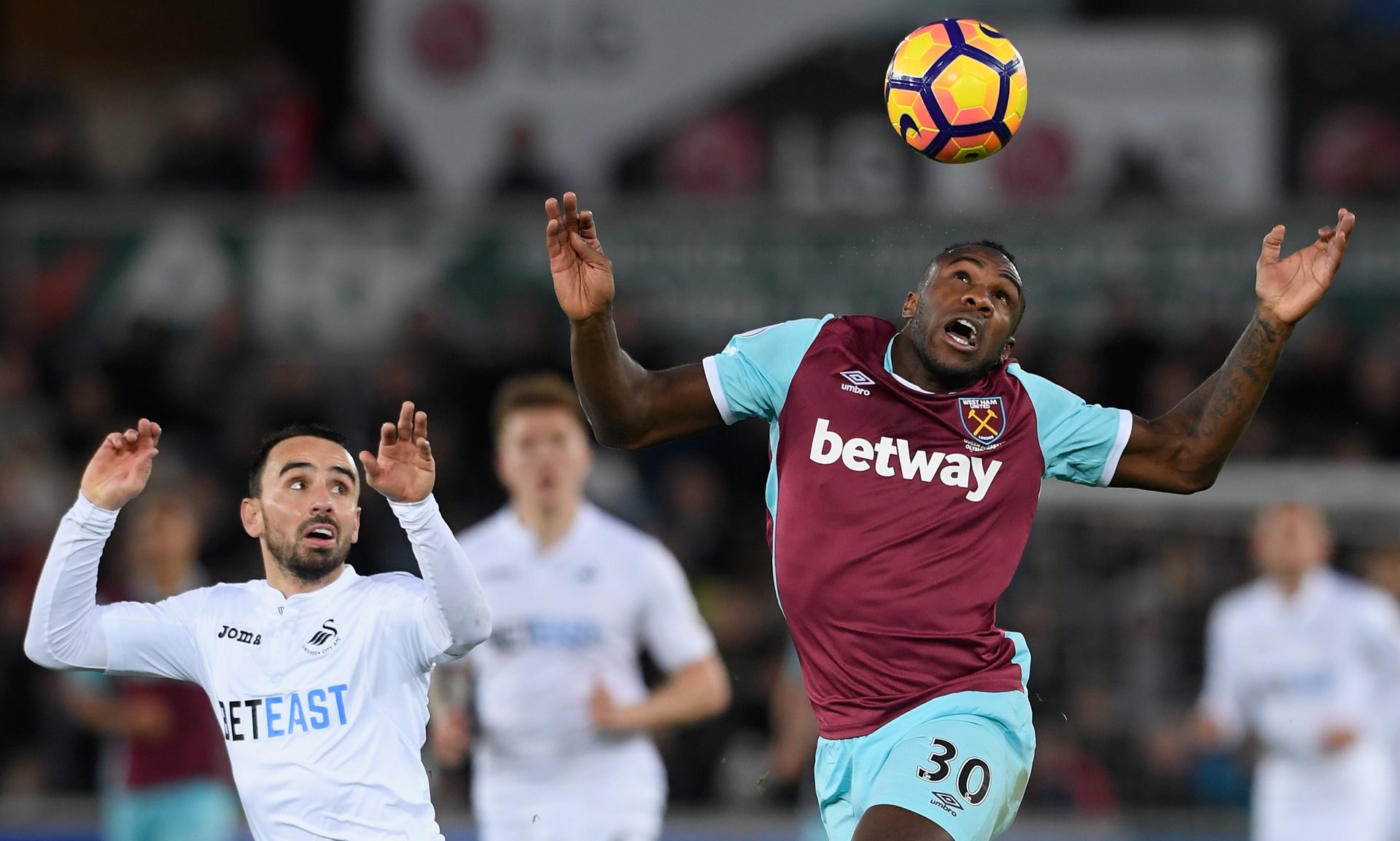 诺维茨基之 诺维茨基之