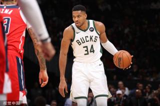 质性的能力 质性的能力